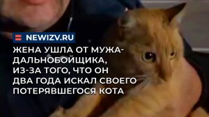 Жена ушла от мужа-дальнобойщика, из-за того, что он два года искал своего потерявшегося кота