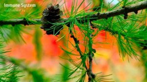 ИММУНИТЕТ*Иммунная Система. Усиление Иммунитета*Скрытые Аффирмации*Саблиминал