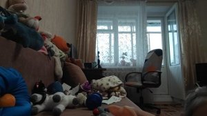 спят усталые какашки злой заяц