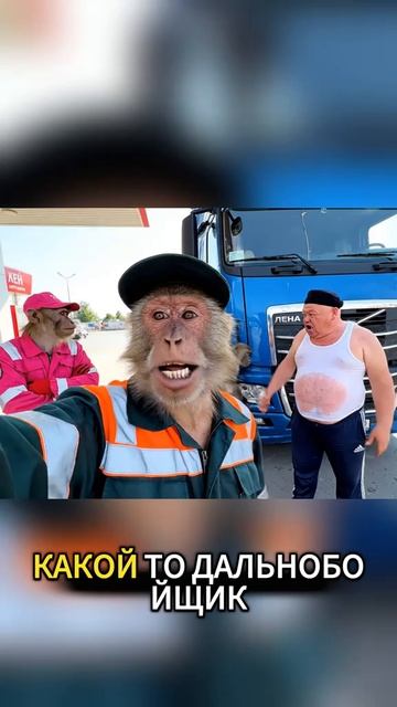 ИИ мартышки работают на заправке