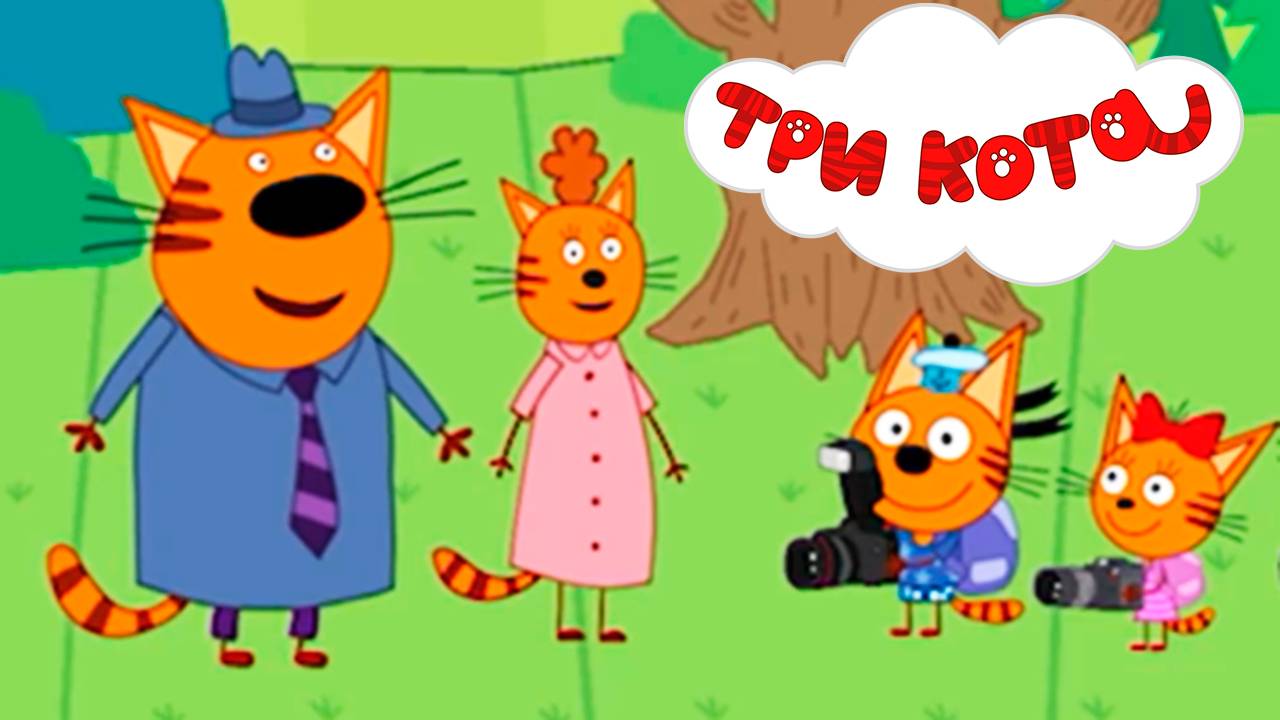 ТРИ КОТА - Котики пошли в поход по тайге - Мультик для детей