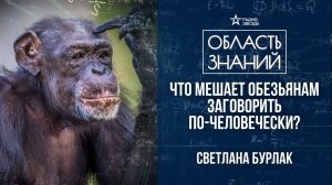 Могут ли животные говорить и понимать человеческую речь? Лекция лингвиста Светланы Бурлак