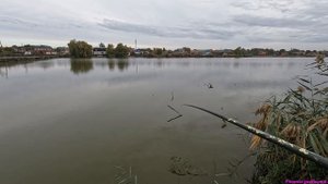 Рыбалка в конце октября! Боковой кивок рулит!