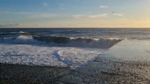 Николай Засидкевич (аккордеон) - "Мечта"