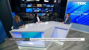 Проблема бездомных животных в Красноярском крае / «После Новостей»