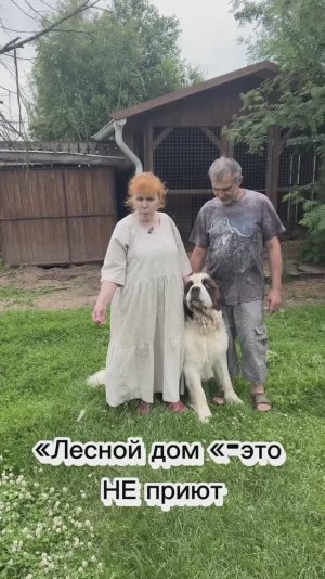 Многие думают,что приют это временное пристанище на обеспечении государства.История «Лесного дома»