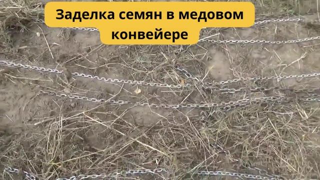 Заделка семян Ладой-Ларгус. Медовый конвейер в действии. смотреть онлайн