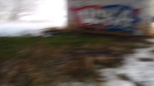 Забрались под мост через реку Клязьма, где граффити ЦСКА