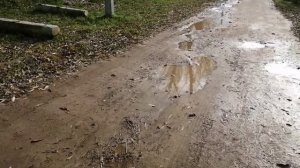 28-10-2025 спасибо за пальто. распаковка чек