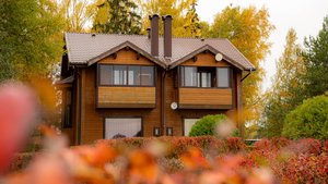 Место, где семья собирается за одним столом, смеётся у костра и засыпает под тишину леса.