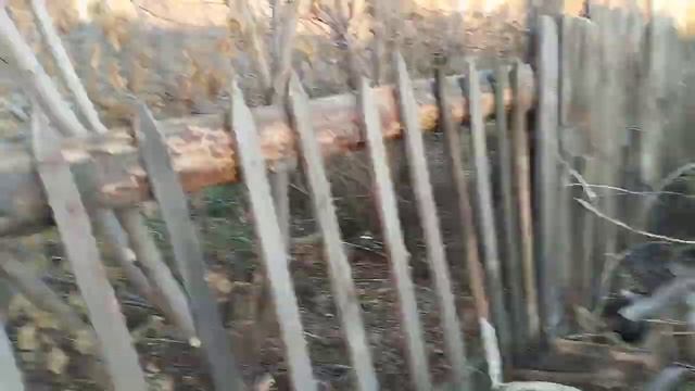 сделали на заборы на территории получается все готово всё отлично смотреть онлайн