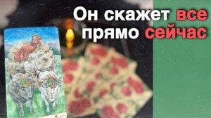 Срочно❗️Он Умоляет Тебя Его Послушать... 🍁🧡♣️ таро расклад ♥️ онлайн гадание