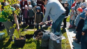 ✨ Честный отзыв жителей наших домов