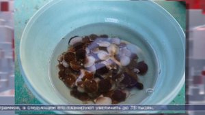 27.10.2025 Дайджест