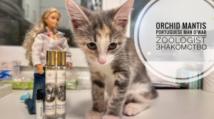 Zoologist | Знакомство с Orchid Mantis и Portuguese Man O' War