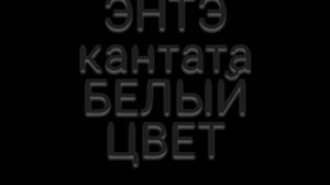 ЭНТЭ - Кантата Белый Цвет