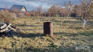 ,, А не замахнуться ли нам на Ивана нашего Мичурина,,.