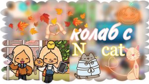 колаб с N_cat тока бока тока лав