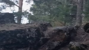 1. Гора Теплая (728 метров). 6 октября 2025 года.