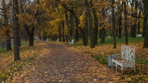 КУБАНСКИЕ КРАСОТЫ