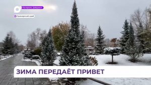 Приморье оказалось под влиянием циклона, пришедшего из Японии