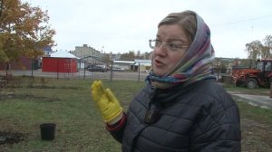 2_День озеленения