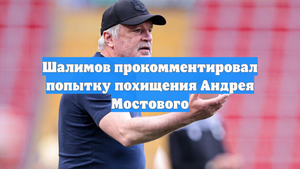 Шалимов прокомментировал попытку похищения Андрея Мостового