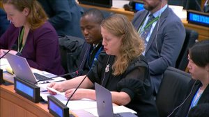 Выступление М.В.Заболоцкой в Контртеррористическом комитете СБ ООН