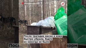 Соседи в ужасе! Собаки загрызли ребёнка. Жуткие подробности смерти 10-летнего мальчика