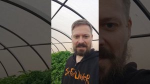 Vlog: пересаживаем хабанеро, aji Russia, а в теплице растут big black mama. Делюсь мыслями