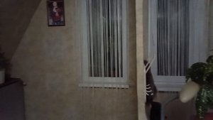 В гостях у брата . Урал.