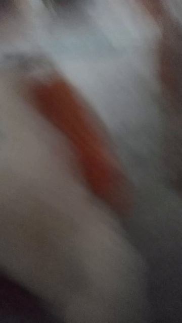 Дыкын дыш дыкын дыш ЖИЗНЬ КОТОВ дыкын дыш