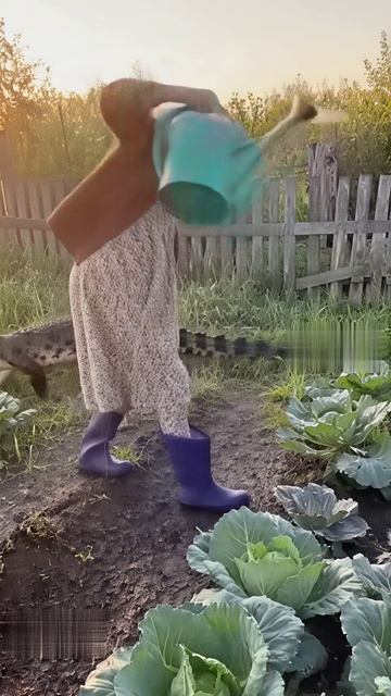 У нас без прописки нельзя!