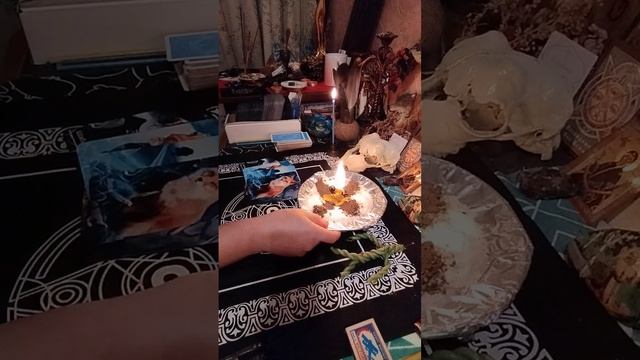 ЧИСТКА ПАУЧЕЙ ПОРЧИ.