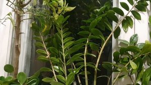 Деньки последние - зима...