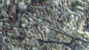 Побег от маньяка часть 2