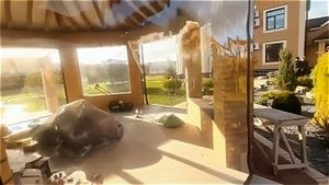 Осень не повод прощаться с террасой! 🍂