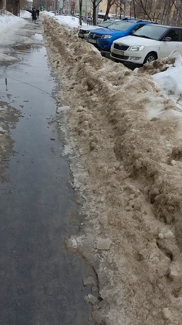 №255. ул. Полины Осипенко. 14 марта 2025 г., 13:59:59. VID_20250314_135743464