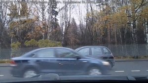 #4861 /28-10-25 г./ Дармовоз, ч.3...