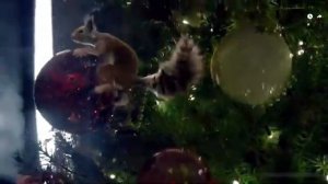 Серия Новый Год - на стихи автора канала