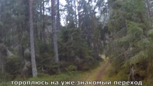 Охота на зайца 25-26.10.2025. 2 - 0 в пользу ЗАЙЦА!