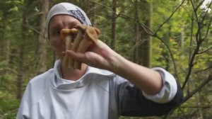 Лосягрибы с Петровичем и Катей 2025