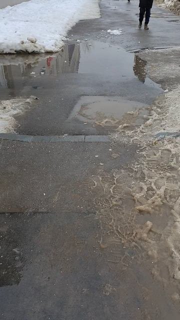 №261. ул. Полины Осипенко. 14 марта 2025 г., 14:25:23. VID_20250314_142510800