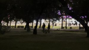 Москва. Кутузовский проспект .