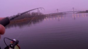 Поклевка судака на реке Самара