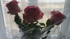 В КЛУБЕ ''Погребок'' // МОЙ День Рождения! //. СЕЛО. УРАЛ