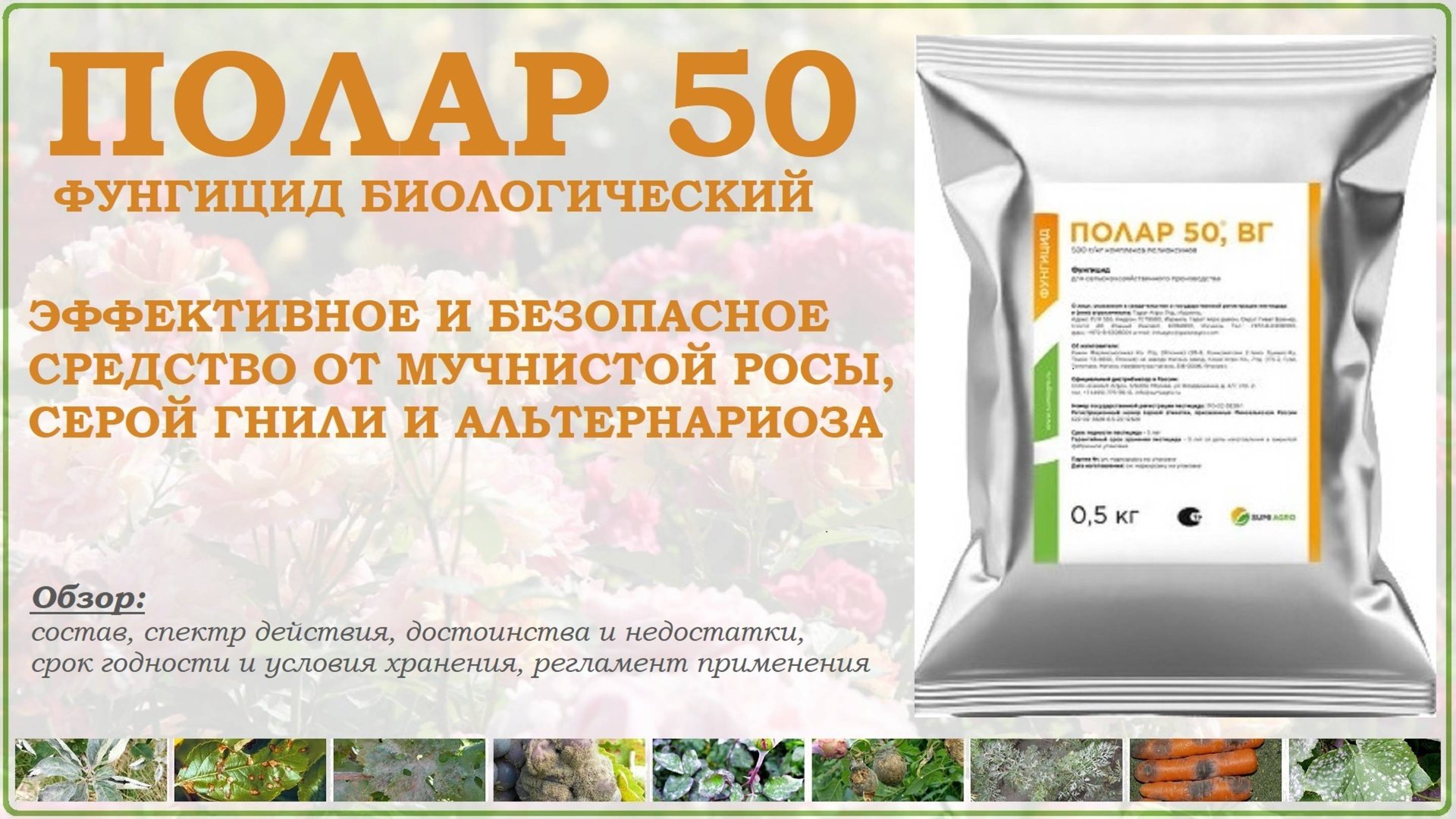 Полар 50 - эффективное биологическое средство от мучнистой росы,альтернариоза и серой гнили. Обзор