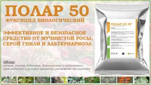 Полар 50 - эффективное биологическое средство от мучнистой росы,альтернариоза и серой гнили. Обзор