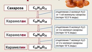 3.2.3 (1) Углеводы Струппуль