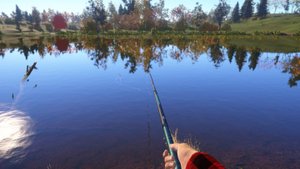 Удочки в дугу.